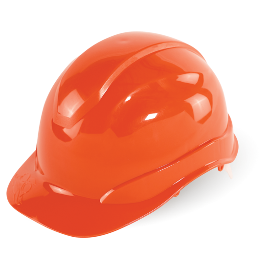 Head Protection